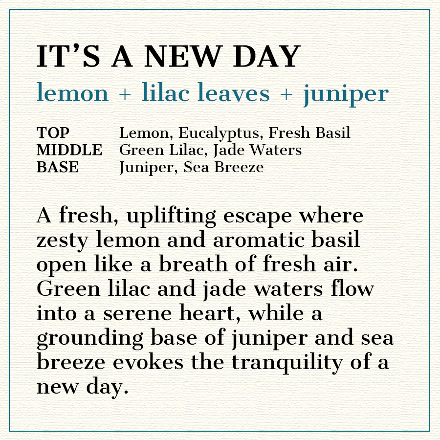It's A New Day - Natural Head to Toe Soap Bar - Lemon + Lilac Leaves + Juniper