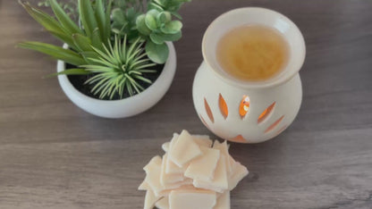 By The Campfire - Birch + Cacao + Vanilla Scented Wax Melt Bark in Resealable Pouch